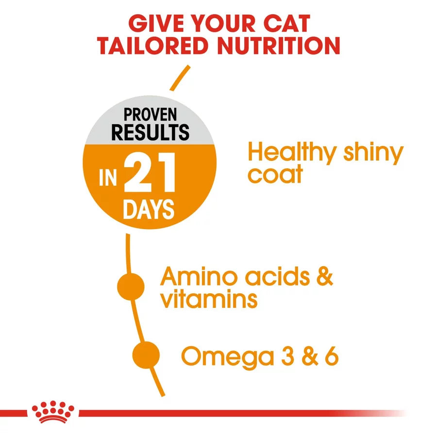 Hair & Skin 10Kg Royal Canin All Breeds Adult Cat Food + FREE WET POUCH