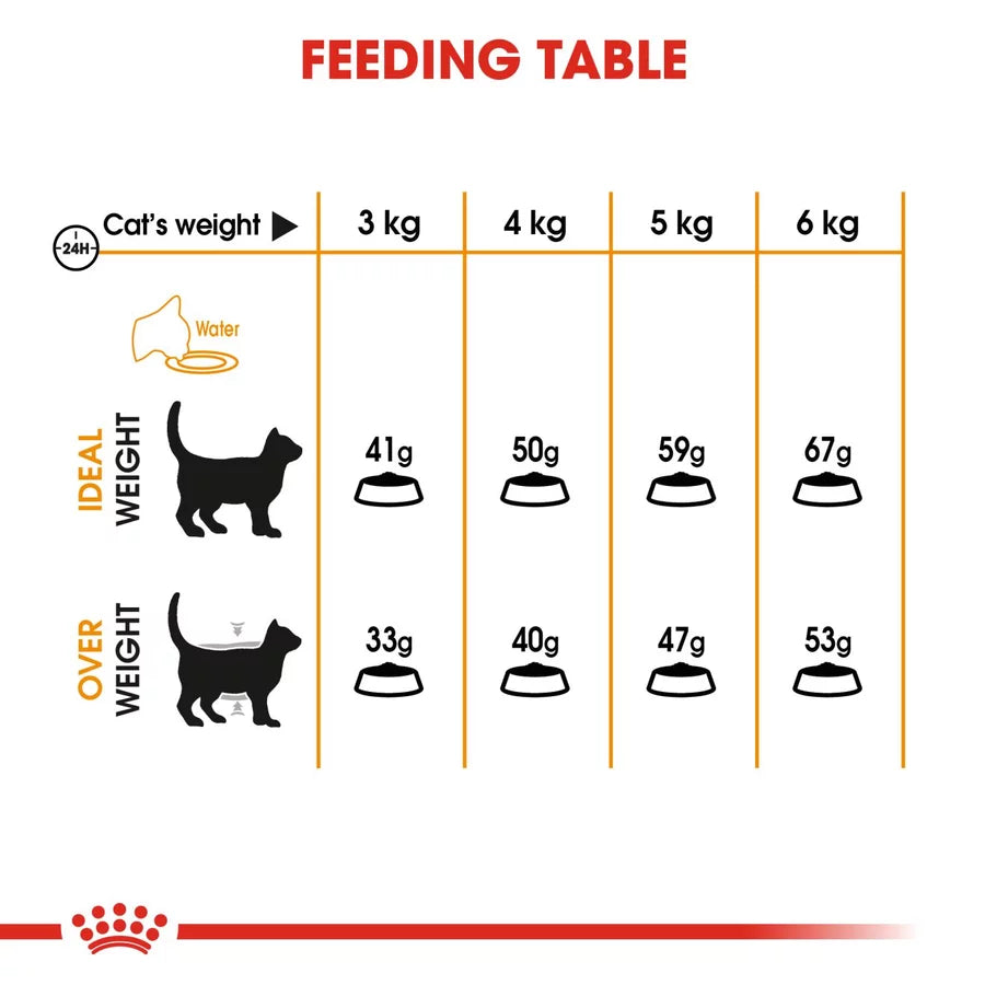 Hair & Skin 10Kg Royal Canin All Breeds Adult Cat Food + FREE WET POUCH