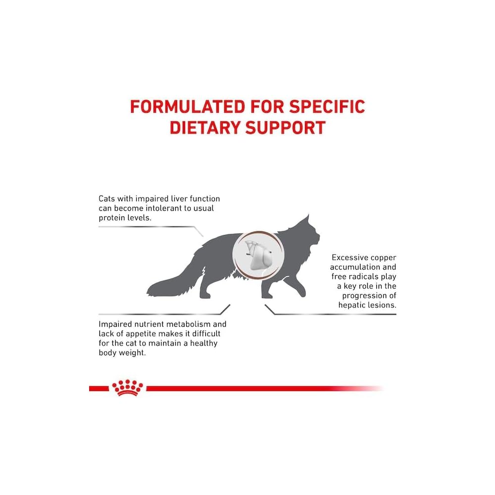 Hepatic Royal Canin All Breeds Adult Cat Food