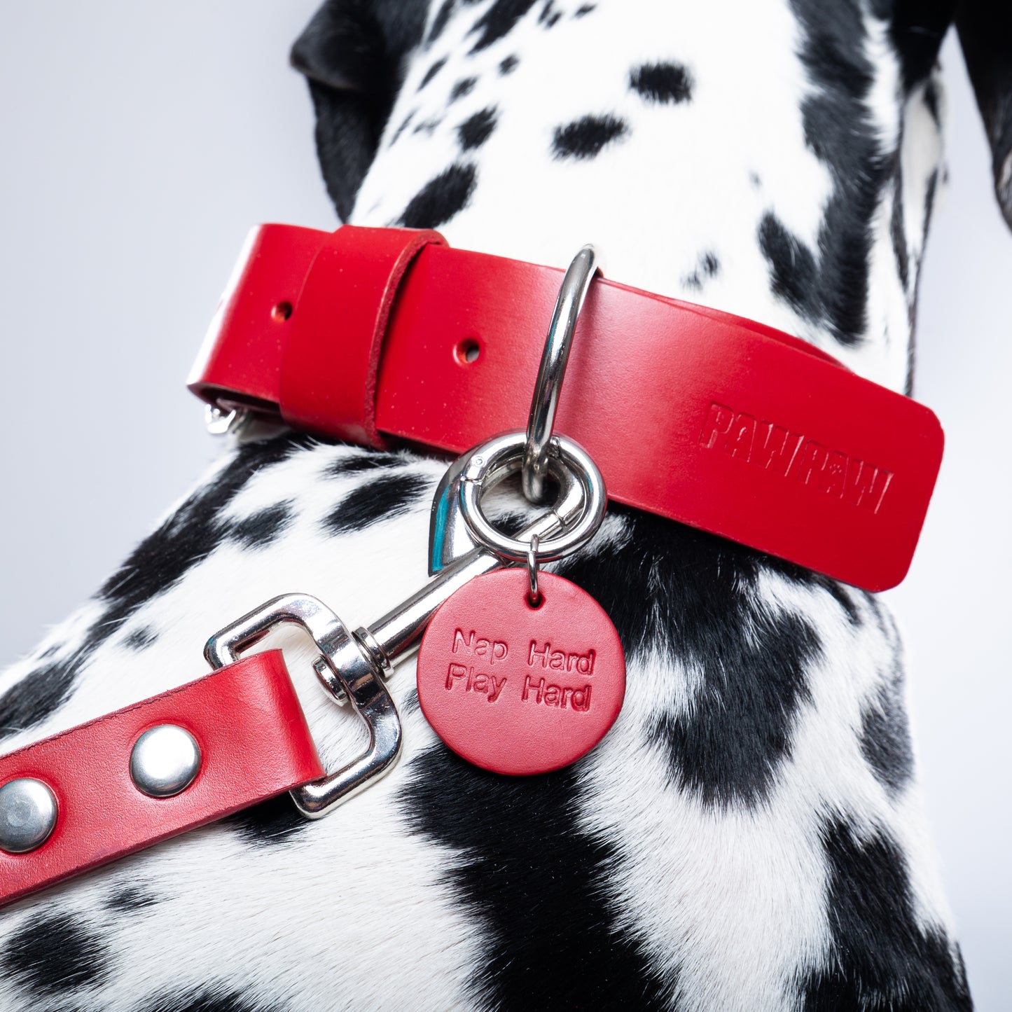 Red PAWPAW Dog Leather Collar