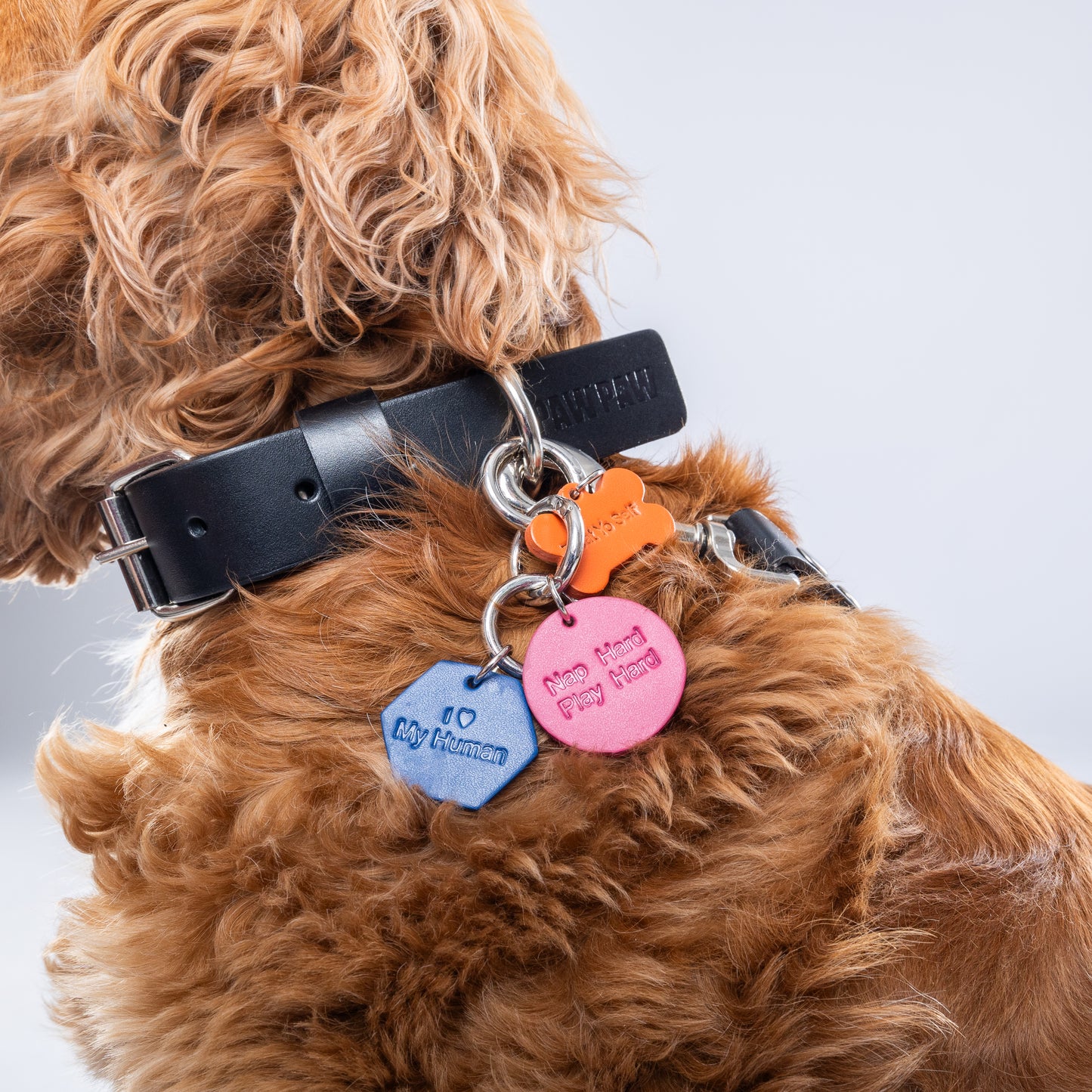 “Nap Hard Play Hard” PَAWPAW Dog Collar Charm