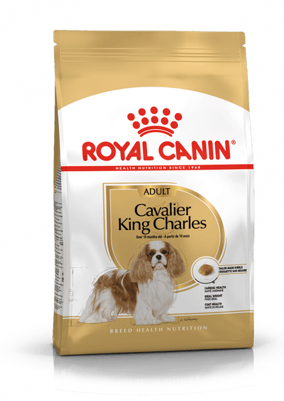 Cavalier King Charles Royal Canin Adult Dog Food