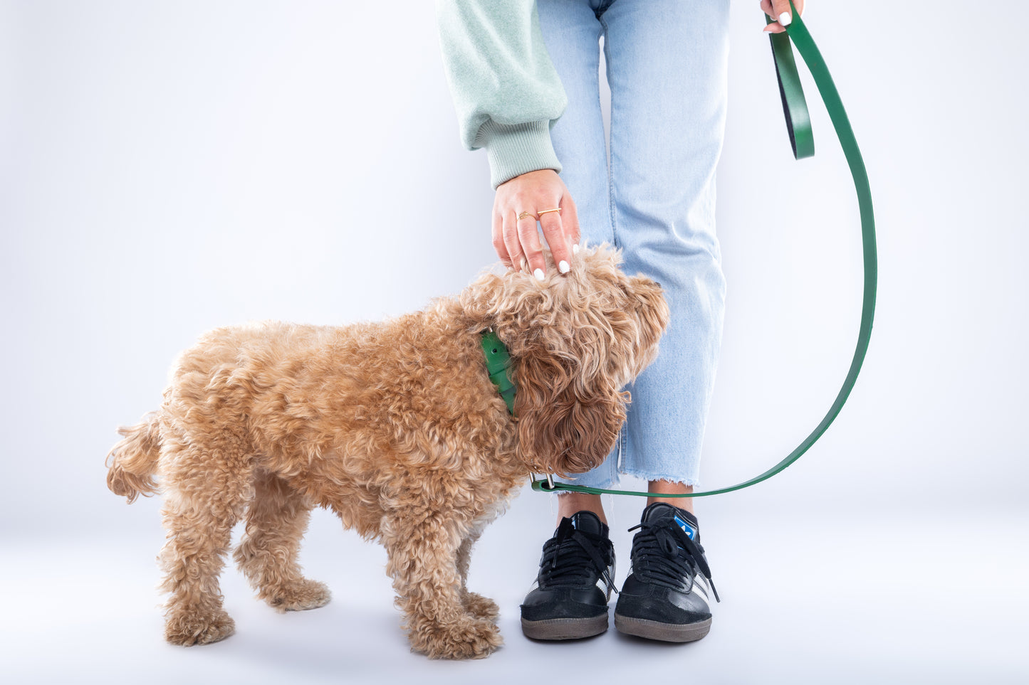 Green PAWPAW Dog Collar + Leash Set