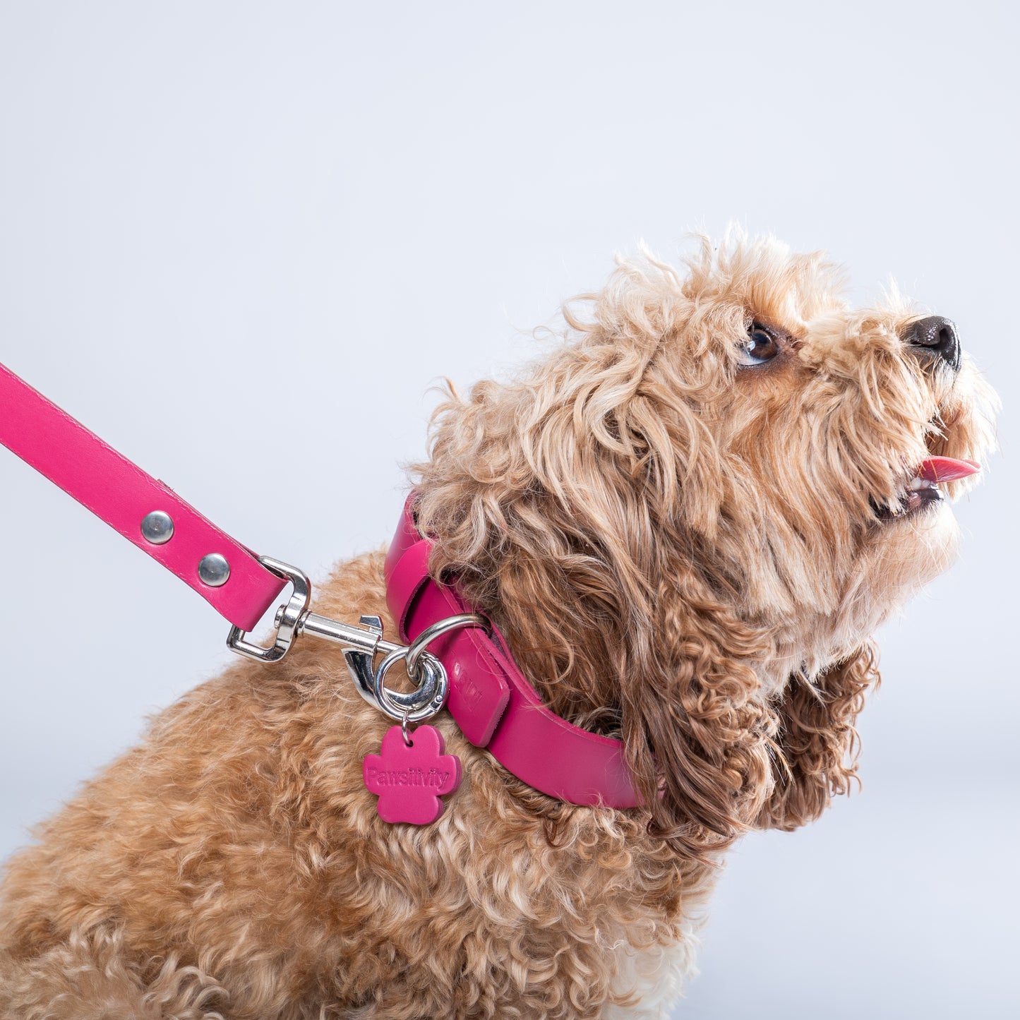 Pink PAWPAW Dog Leather Collar