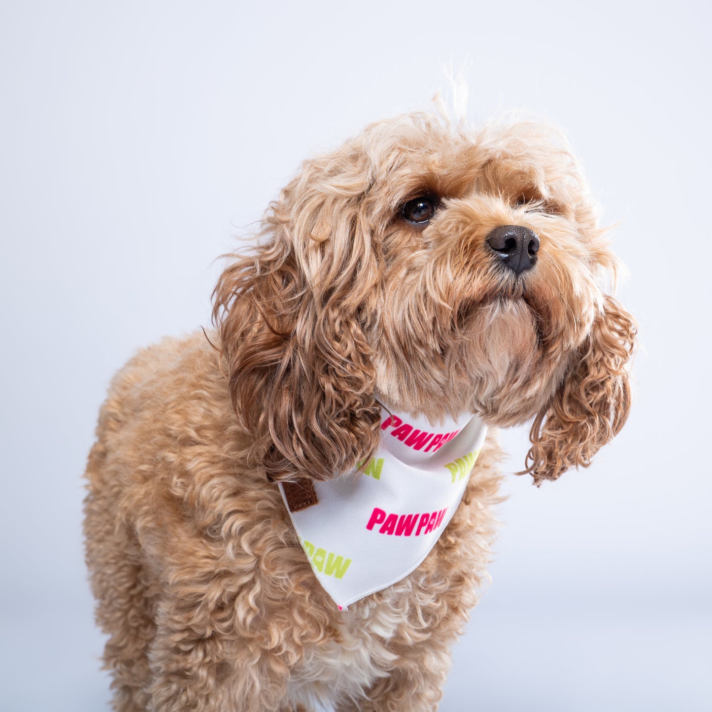 “Harmony” PAWPAW Dog Bandana
