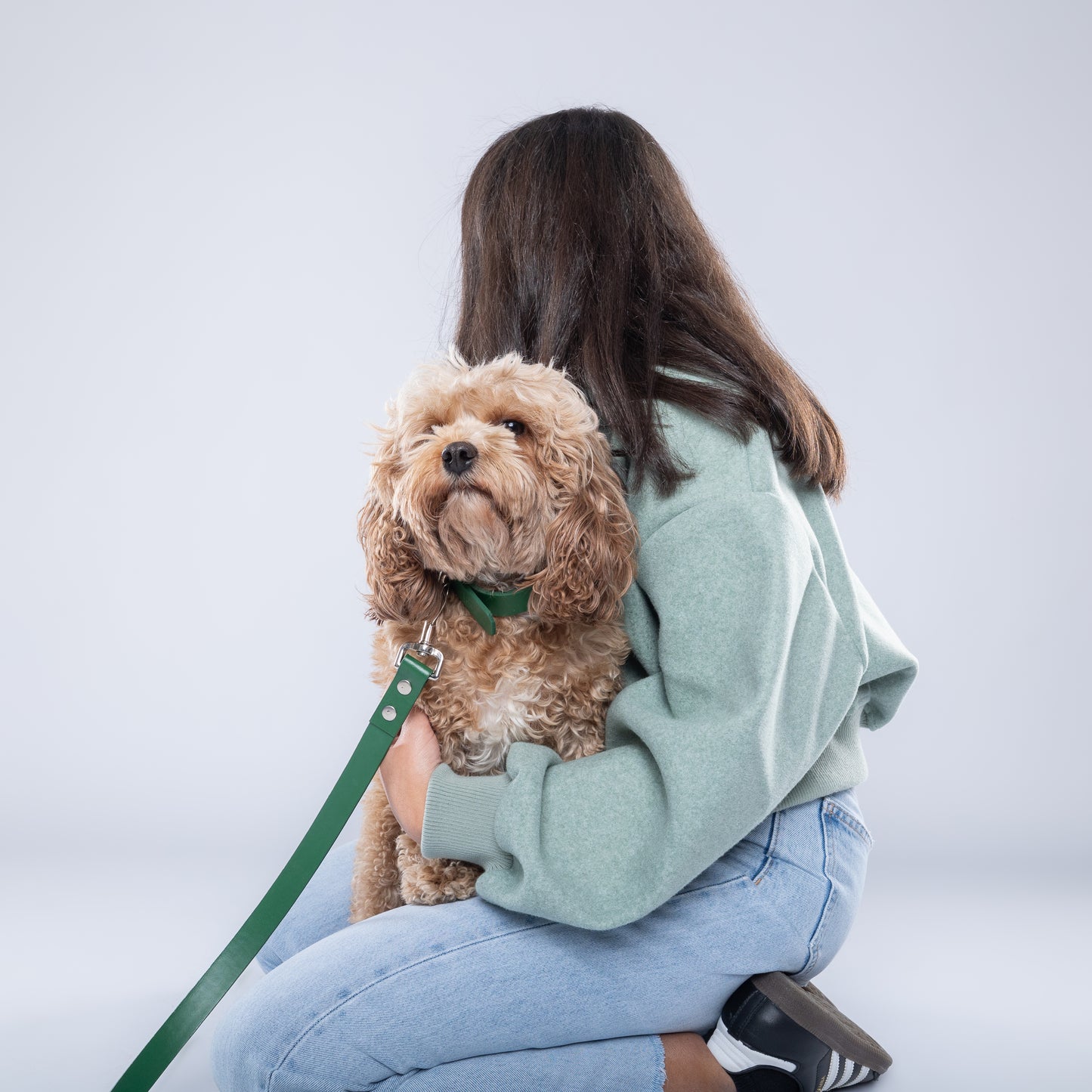 Green PawFlex PAWPAW Dog Leash