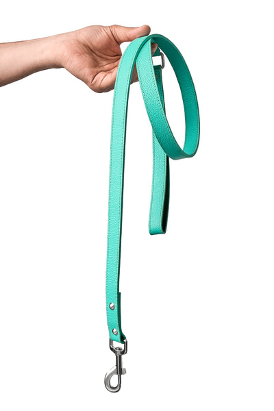 Teal PawFlex PAWPAW Dog Leash