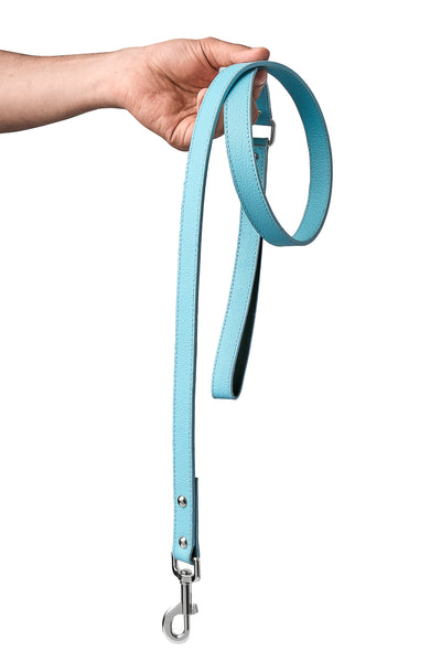 Sky Blue PawFlex PAWPAW Dog Leash