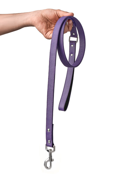 Purple PawFlex PAWPAW Dog Leash