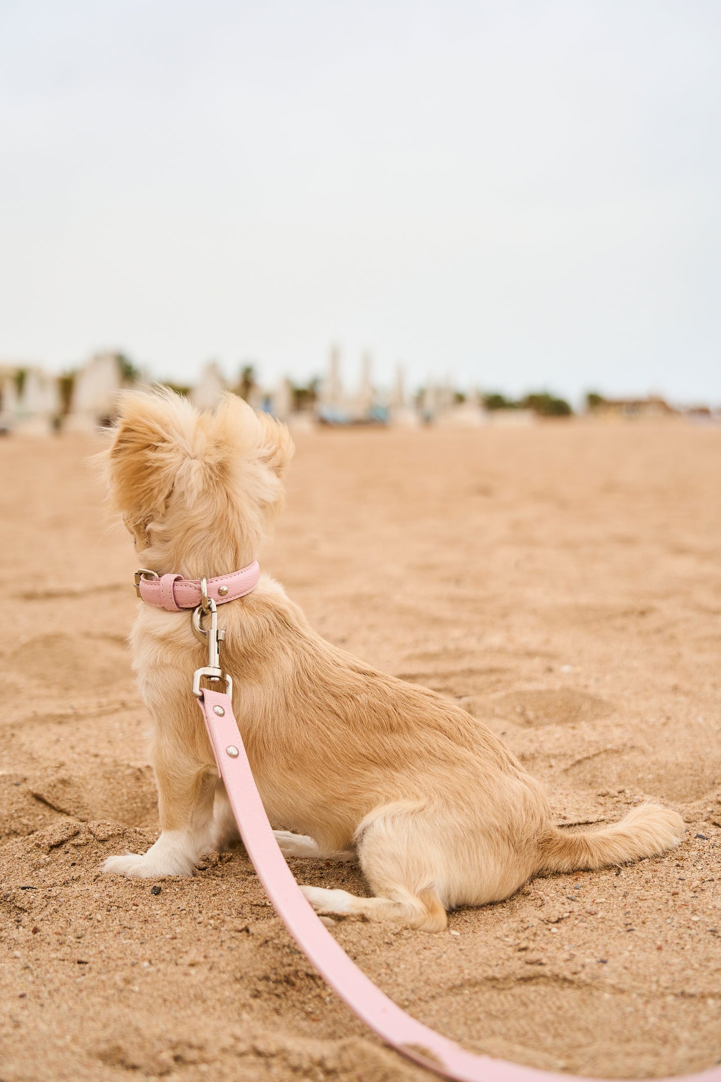 Light Pink PAWPAW Dog Leather Collar