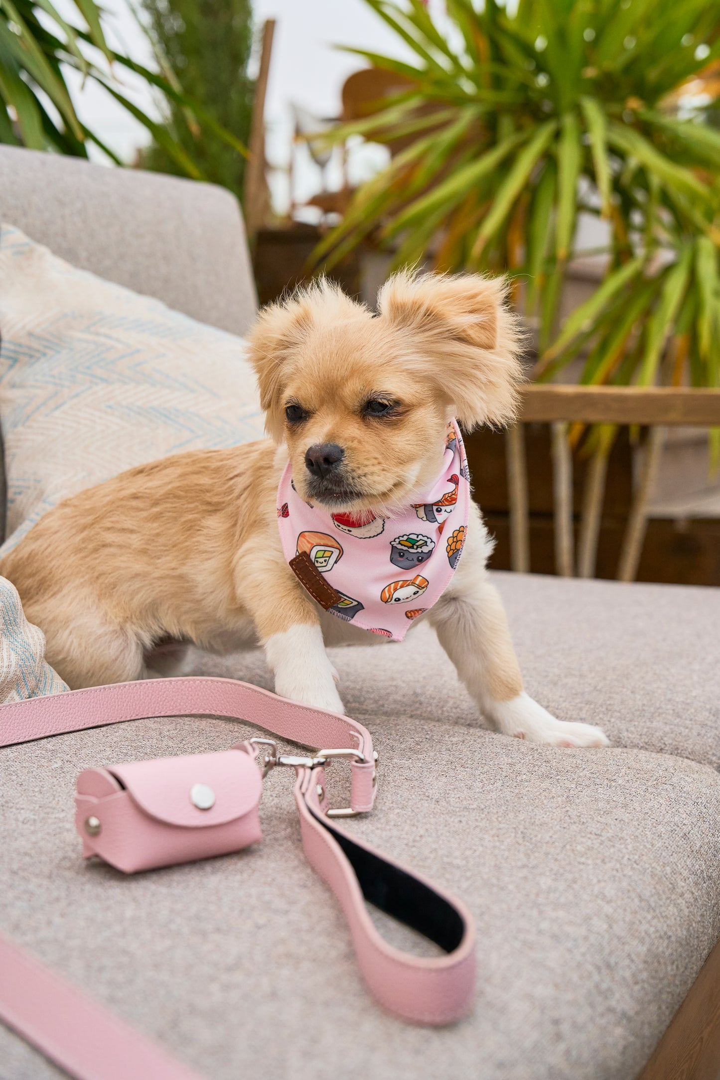 Light Pink PAWPAW Dog Leather Poo Bag Holder