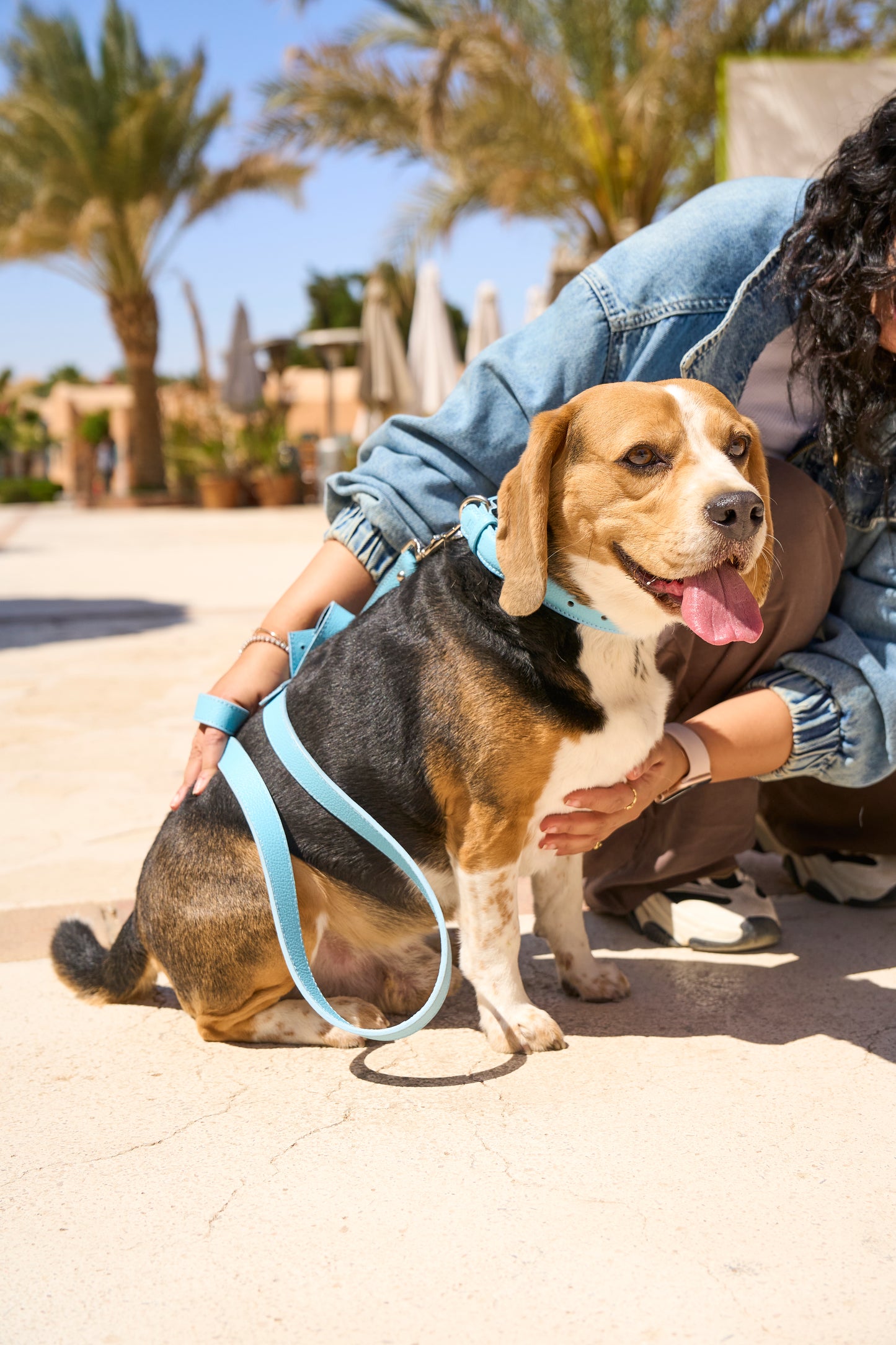 Sky Blue PAWPAW Dog Leather Collar