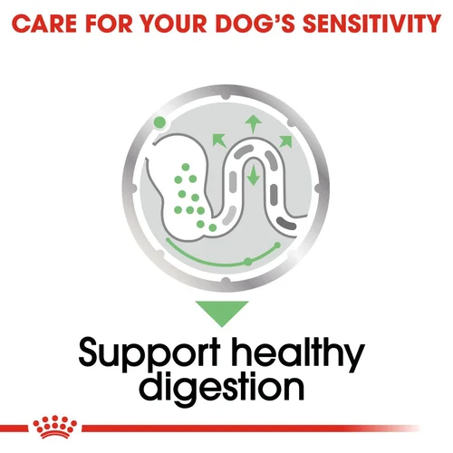 Digestive Care Wet Loaf 85g Royal Canin All Breeds Adult Dog Food