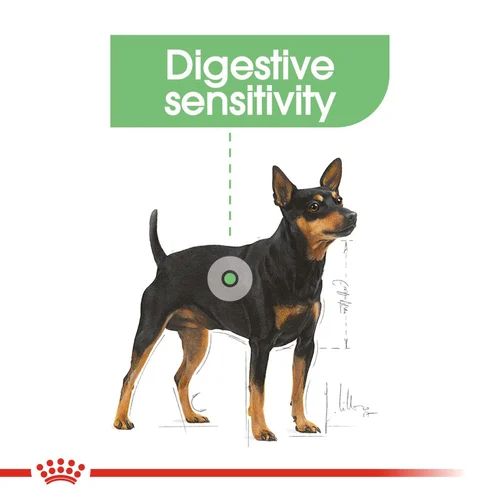 Digestive Care Wet Loaf 85g Royal Canin All Breeds Adult Dog Food