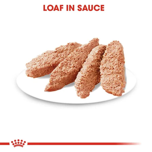Digestive Care Wet Loaf 85g Royal Canin All Breeds Adult Dog Food