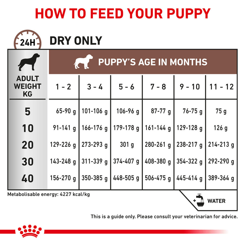 Gastrointestinal Royal Canin All Breeds Puppy Food