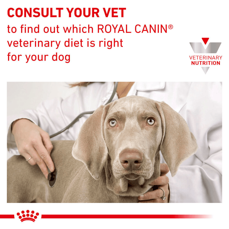 Gastrointestinal Royal Canin All Breeds Puppy Food
