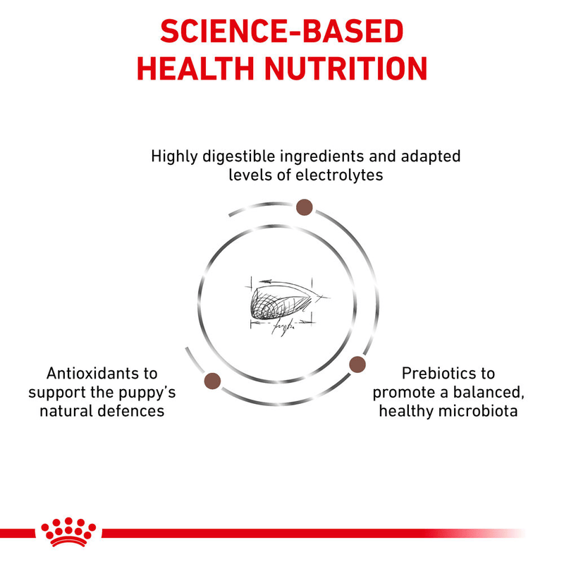 Gastrointestinal Royal Canin All Breeds Puppy Food