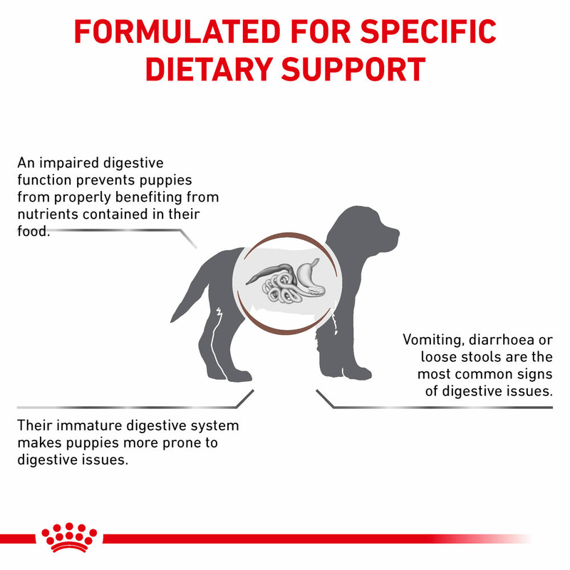 Gastrointestinal Royal Canin All Breeds Puppy Food