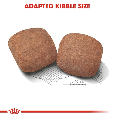 Giant Royal Canin X-Large Breed Adult Dog Food