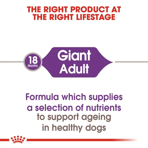 Giant Royal Canin X-Large Breed Adult Dog Food