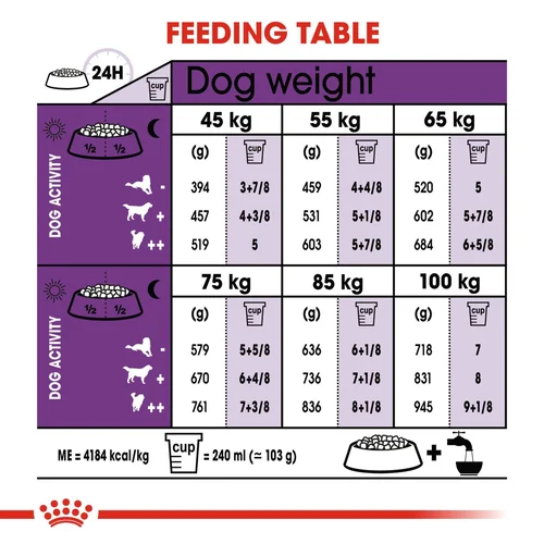 Giant Royal Canin X-Large Breed Adult Dog Food