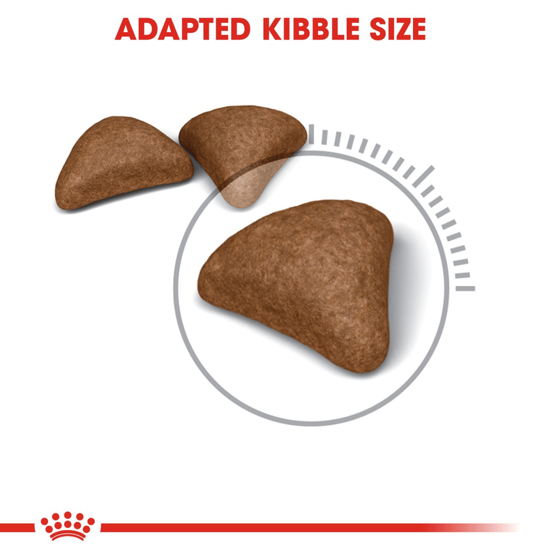Hairball Care Royal Canin All Breeds Adult Cat Food