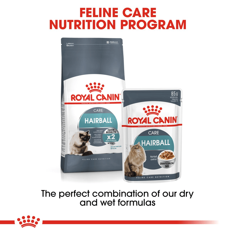 Hairball Care Royal Canin All Breeds Adult Cat Food