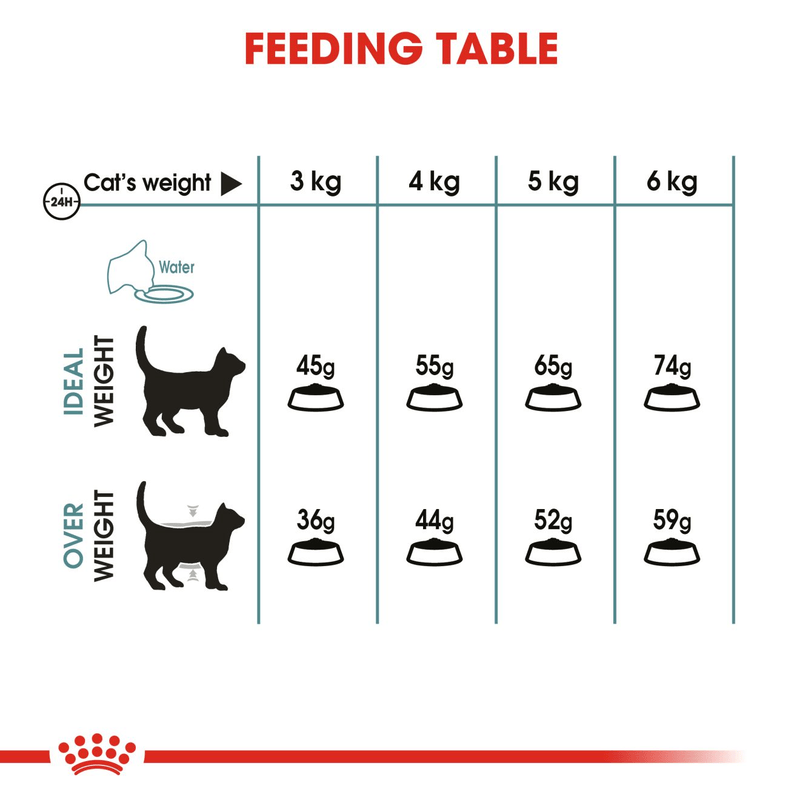 Hairball Care Royal Canin All Breeds Adult Cat Food