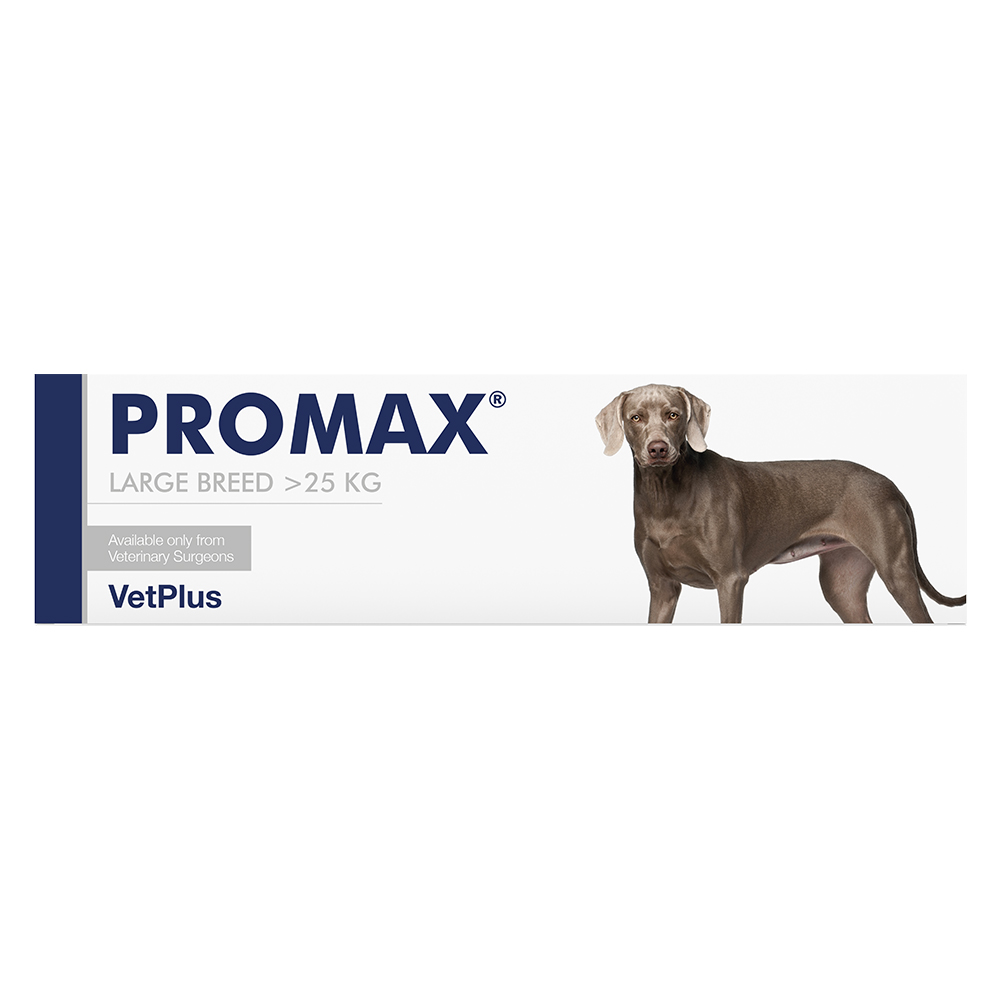 Vet-Plus PRO-MAX Large Breed Adult Dog & Cat Paste - 30ml Syringe