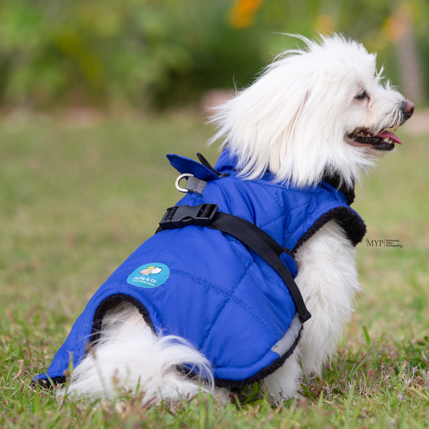 “Blue” Fluffy & Co. Dog Coat