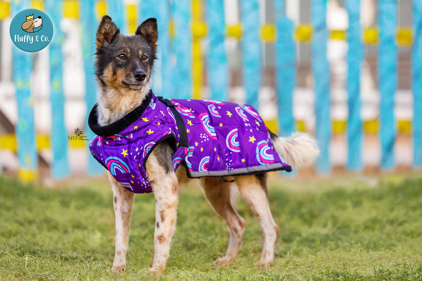 “Rainbow” Fluffy & Co. Dog Coat