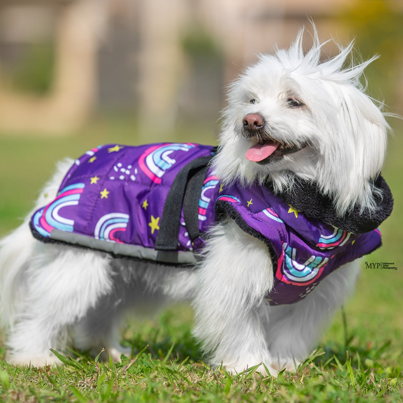 “Rainbow” Fluffy & Co. Dog Coat