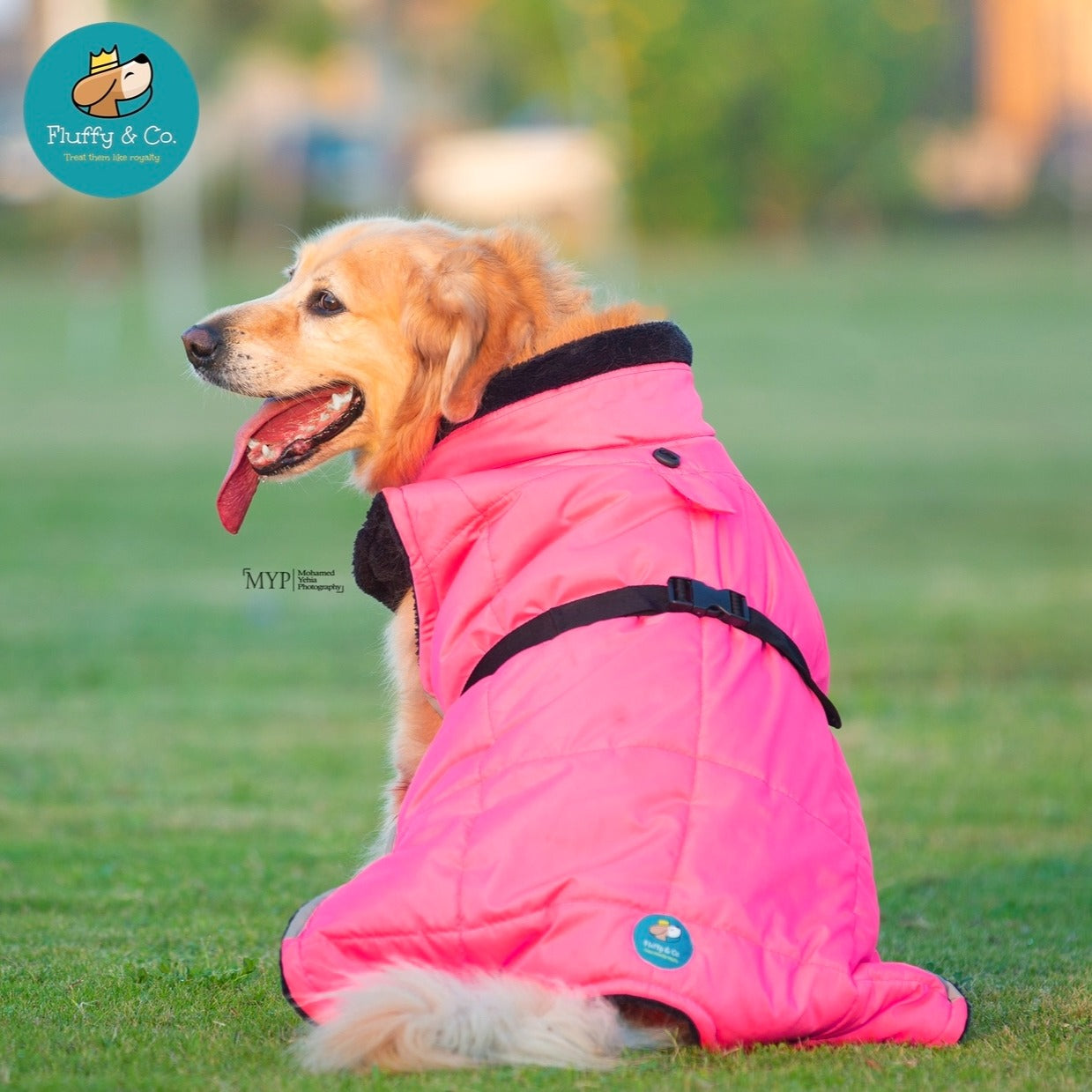 “Pink” Fluffy & Co. Dog Coat