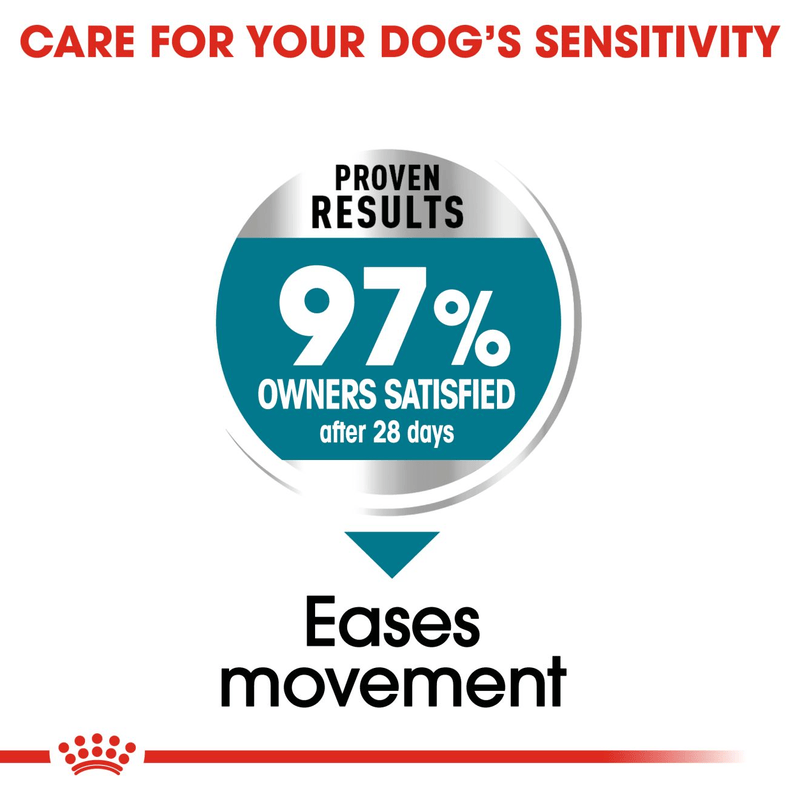 Maxi Joint Care Royal Canin Large Breed Adult Dog Food