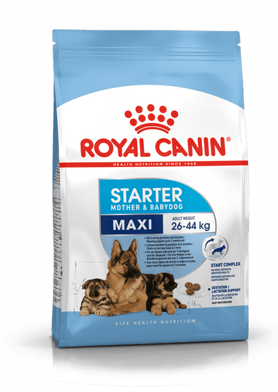 Maxi Starter Royal Canin Large Breed Mother & Babydog Food