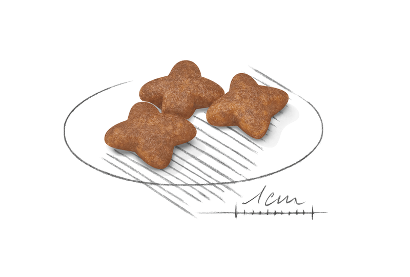 Mini Royal Canin Small Breed Adult Dog Food
