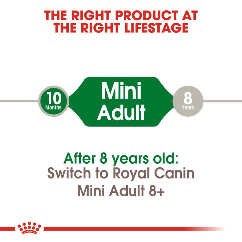 Mini Royal Canin Small Breed Adult Dog Food