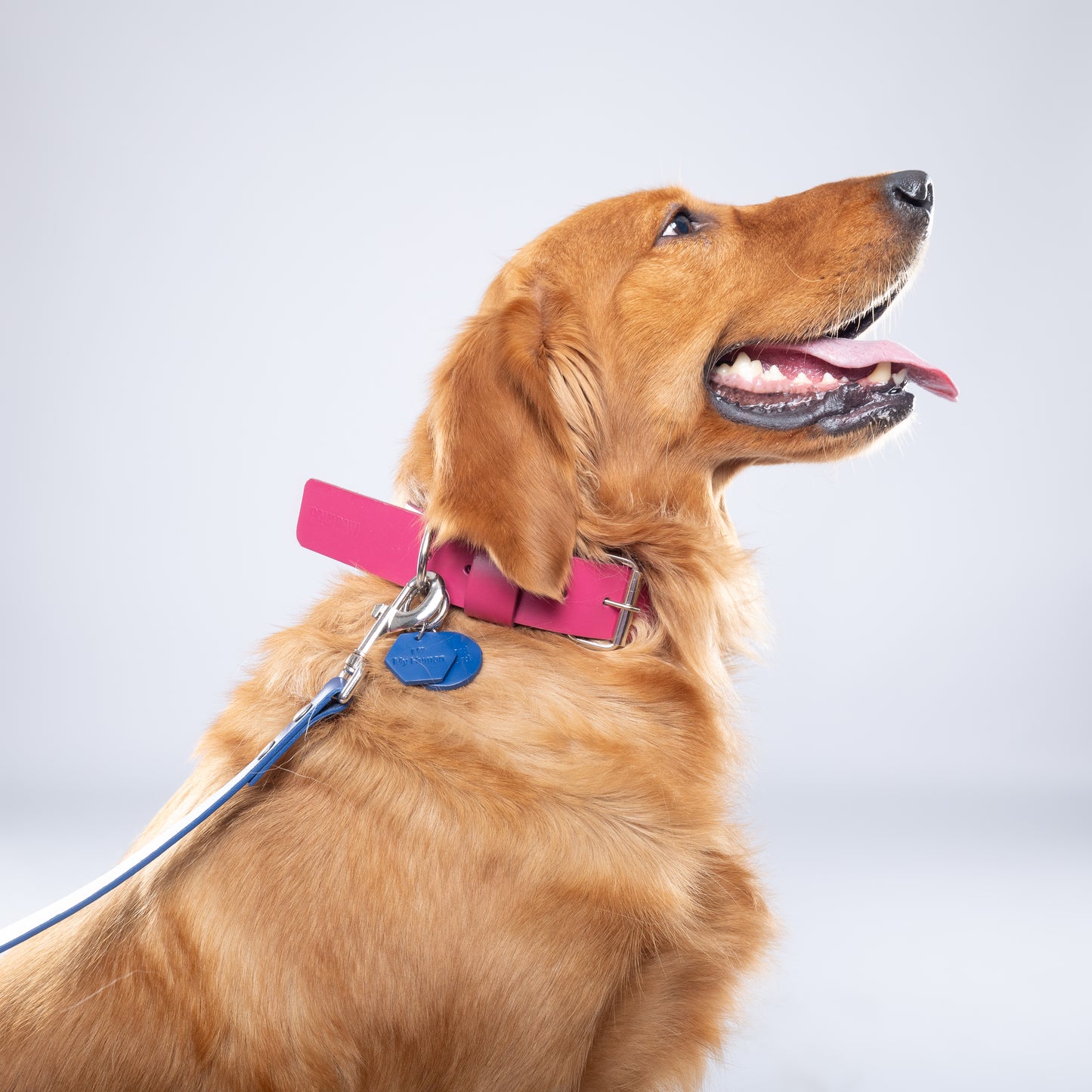 ”I Love My Human” PَAWPAW Dog Collar Charm
