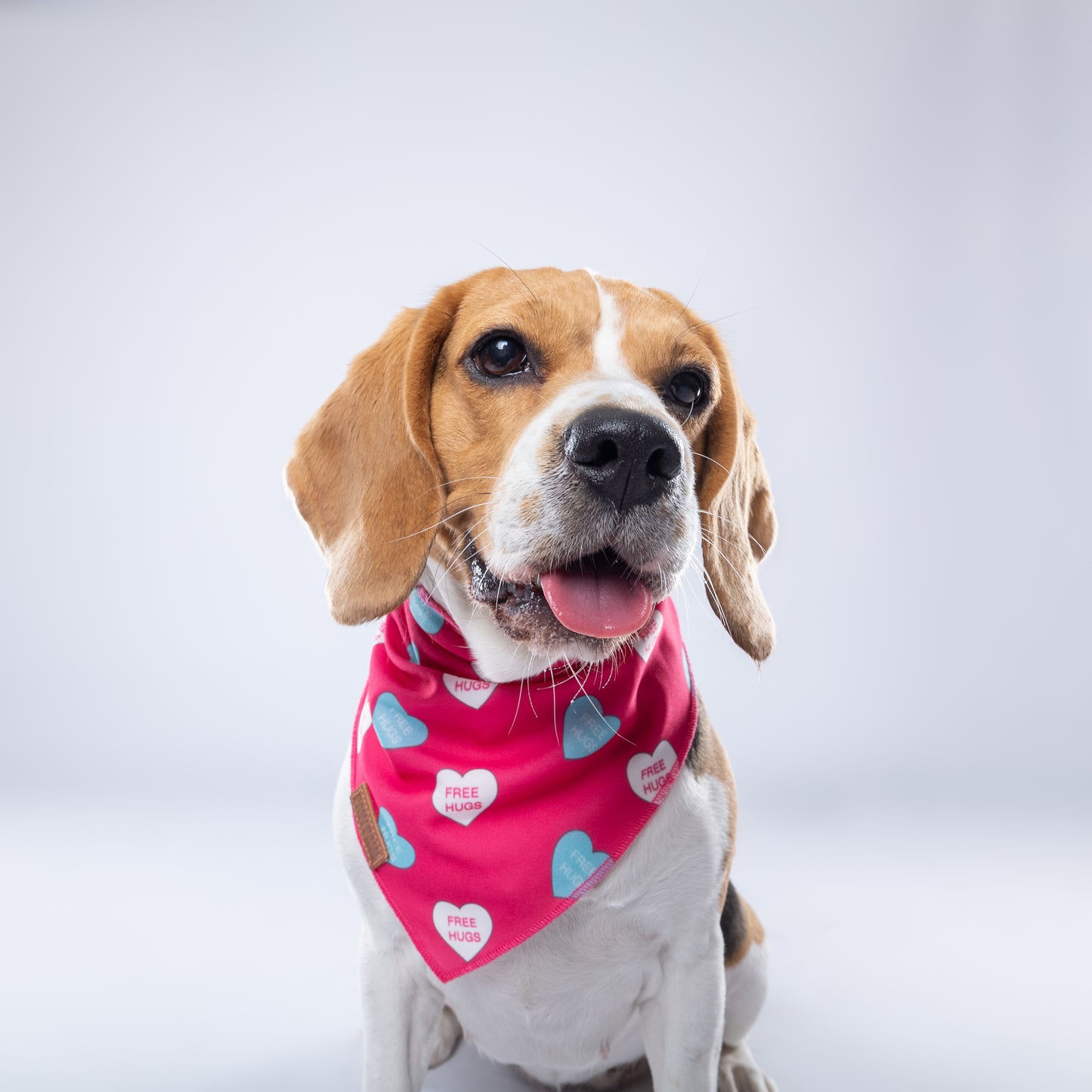 “Free Hugs” PAWPAW Dog Bandana