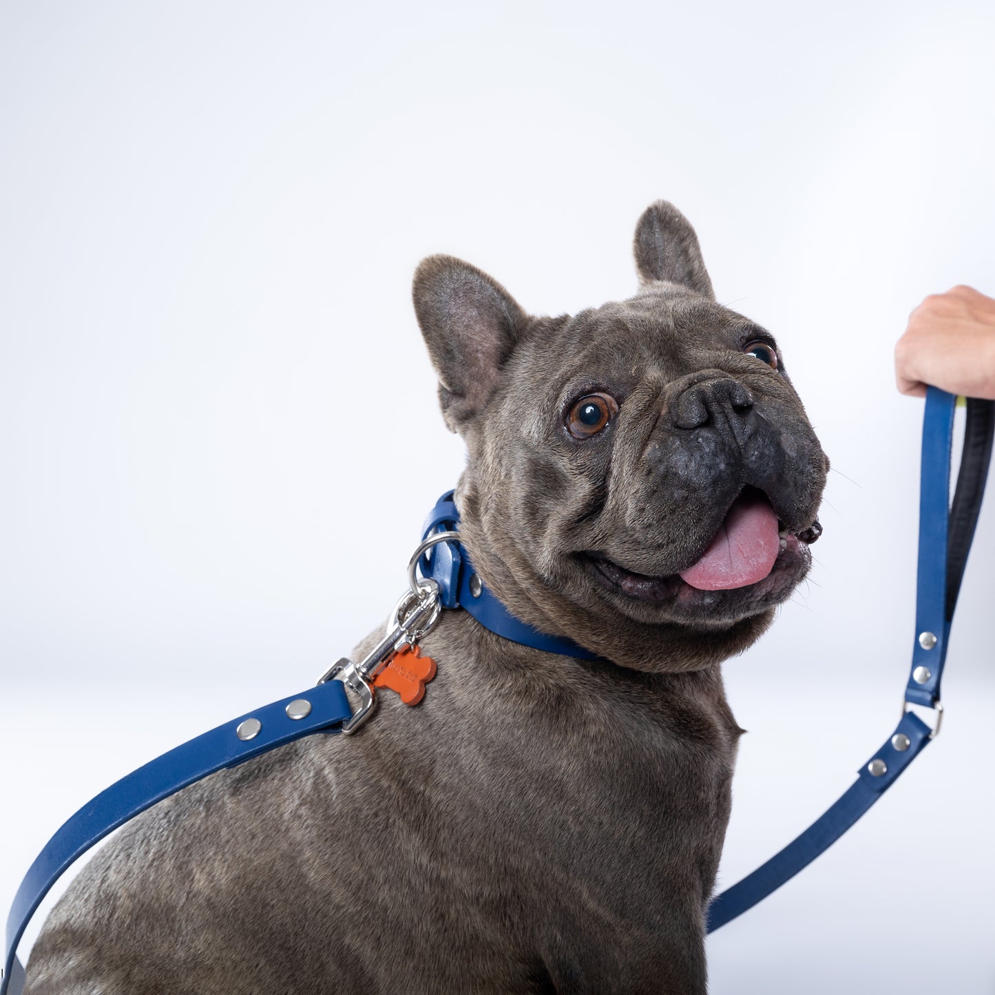 Blue PAWPAW Dog Collar + Leash Set