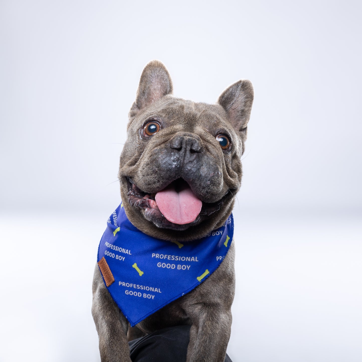 “Professional Goodboy” PAWPAW Dog Bandana