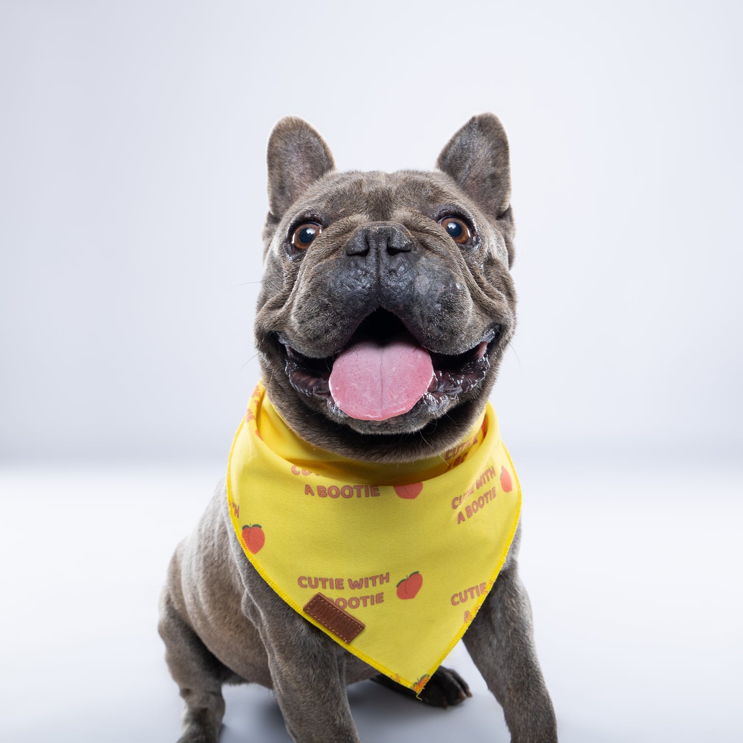 “Cutie With A Bootie” PAWPAW Dog Bandana