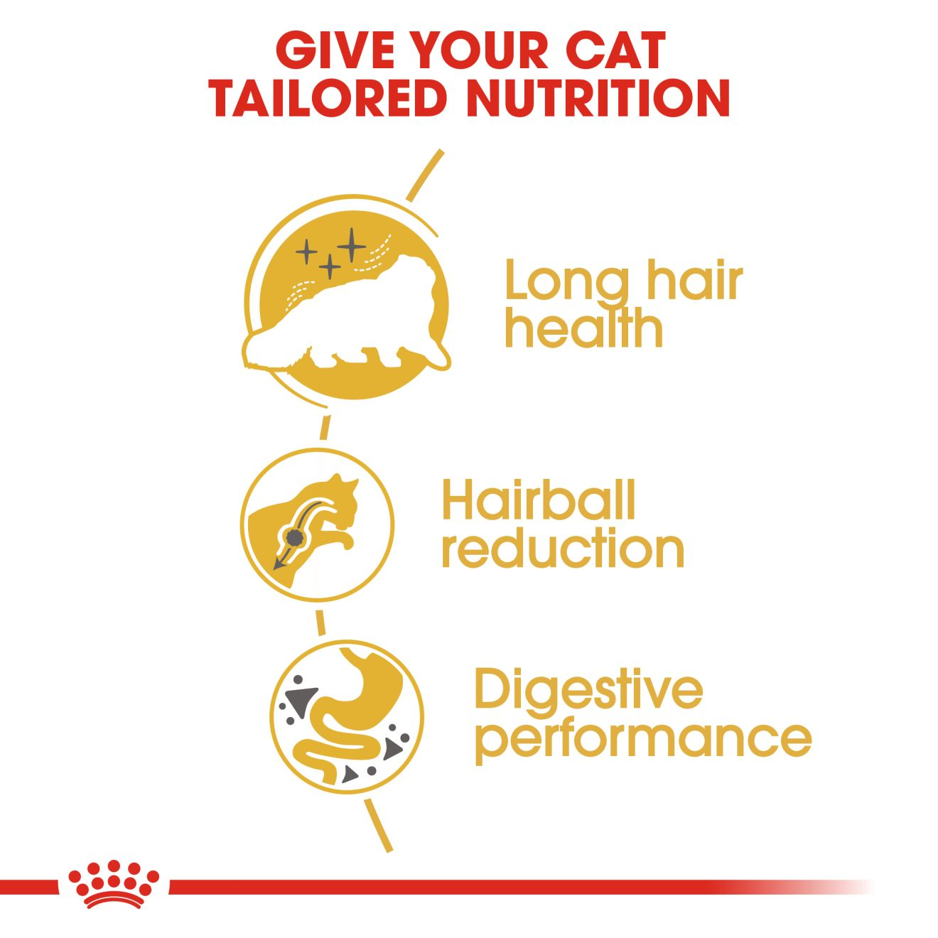 Persian 10Kg Royal Canin Adult Cat Food + FREE Stiinger Premium Litter 4Kg
