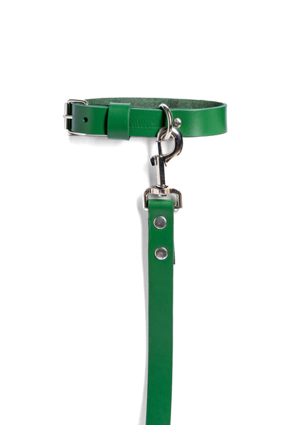 Green PAWPAW Dog Collar + Leash Set