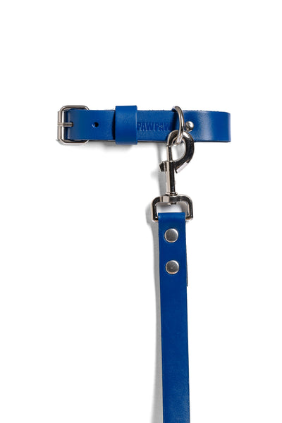 Blue PAWPAW Dog Collar + Leash Set