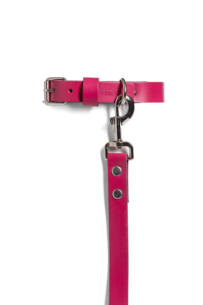 Pink PAWPAW Dog Collar + Leash Set