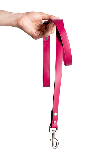 Pink PawFlex PAWPAW Dog Leash