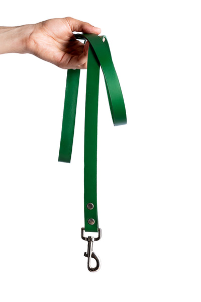 Green PawFlex PAWPAW Dog Leash
