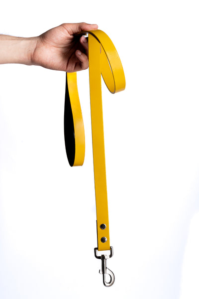 Yellow PawFlex PAWPAW Dog Leash